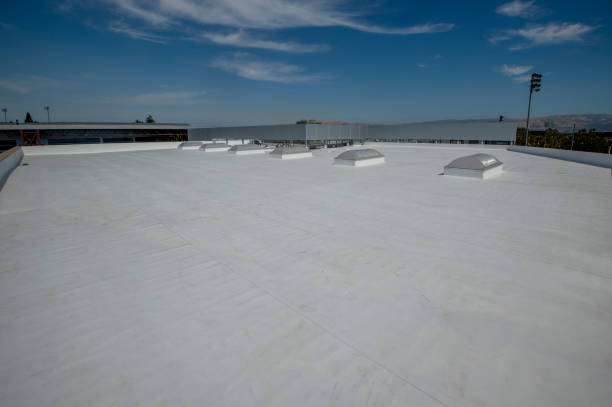 Best Rubber Roofing (EPDM, TPO)  in Royal Oak, MI