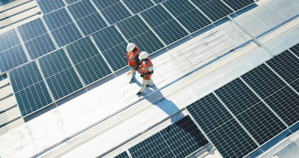 Best Skylight Installation and Repair  in Royal Oak, MI