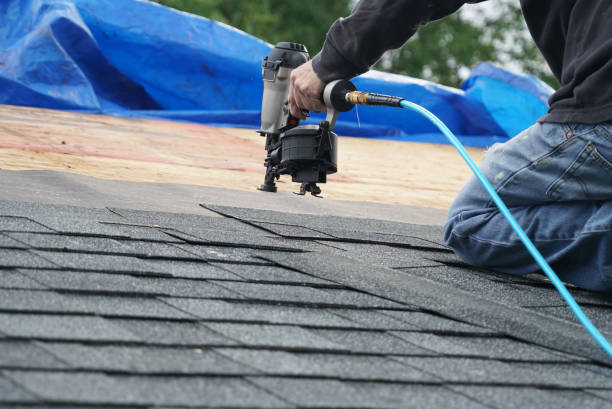 Asphalt Shingles Roofing in Royal Oak, MI